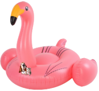 a pink flamingo